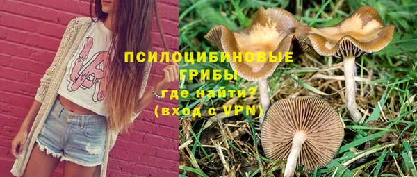 крисы Белоозёрский