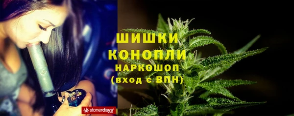 ПСИЛОЦИБИНОВЫЕ ГРИБЫ Хадыженск