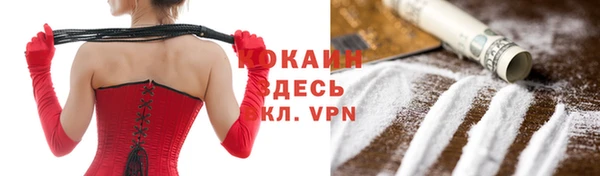 крисы Белоозёрский